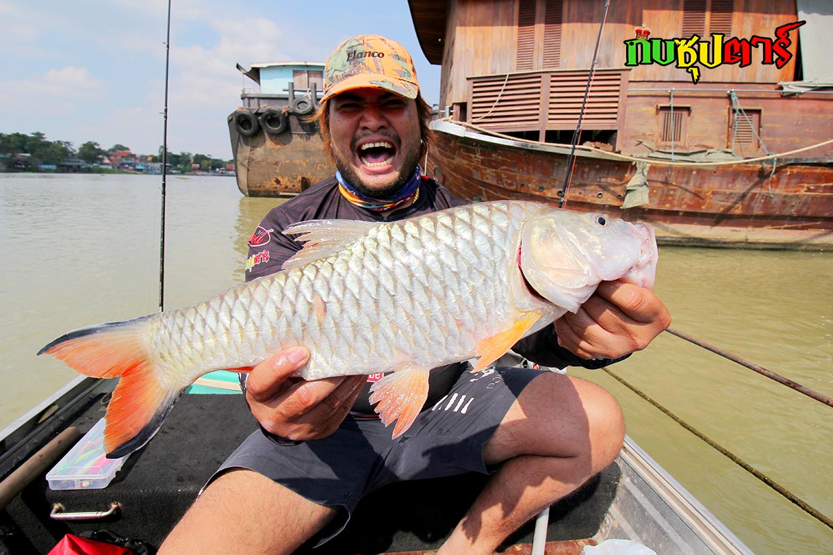 ท้ายไปช่องท้ายเรือไม้เดียวเท่านั้นมากัดข้างเรือมุดคันแทบหักเลยครับ :laughing: :laughing: :laughing:ห