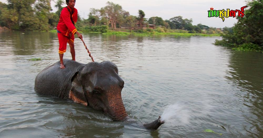 สุดท้ายขอลาไปด้วยภาพนี้ แล้วจะกลับมาพบกันใหม่สวัสดี ขอบพระคุณทุกโหวตและทุกคอมเม้นผมอ่านทุกข้อความครั