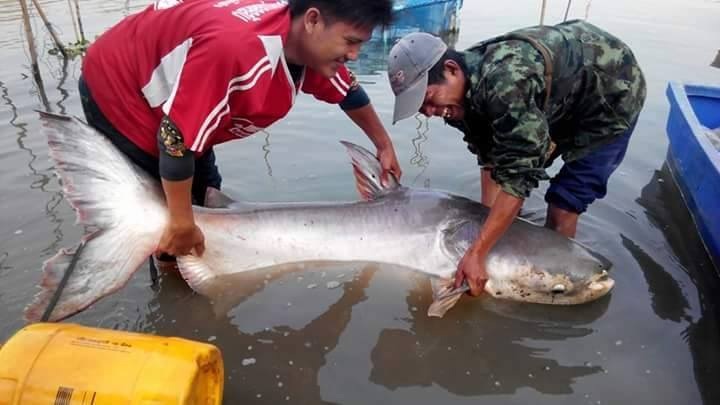 ต้องหามครับไซด์นี้