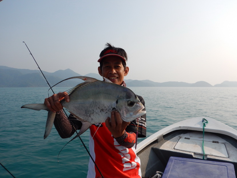 


ปลาเปี๊ย หรือ กระมงแซ 

คัน:Rapala shadows 10-20 lb

รอก:shimano เบอร์ c3000

สาย:pe 2 
