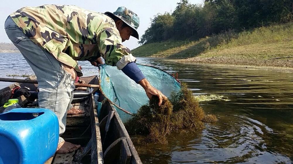 กำลังตีเหยื่อเพลินๆ 

หันไปท้ายเรือ อ้าววว..ลุงทำไรน่ะ ?
ช้อนกุ้งไว้ เพื่อไปตกหมอตะกรับ กัน ช่วงบ