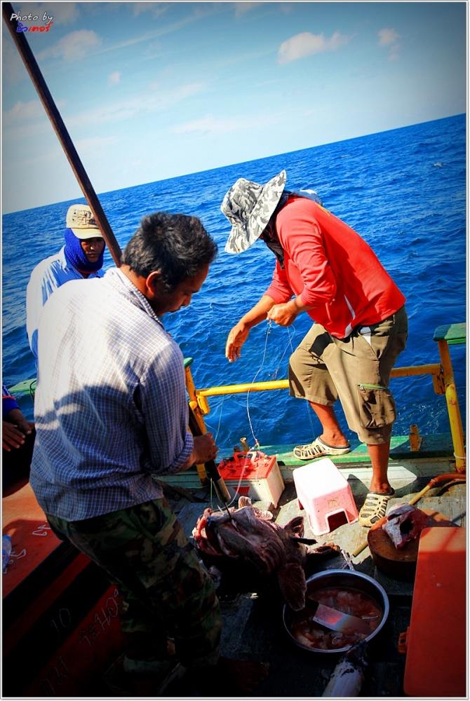  
[b]เสียง ตบมือ-ดังลั่น ท้ายเรือ

แน่นอนว่า !! เป็นพี่วร และพี่ปาน ดึงมันขึ้นมา ตรงความลึก 250 เ