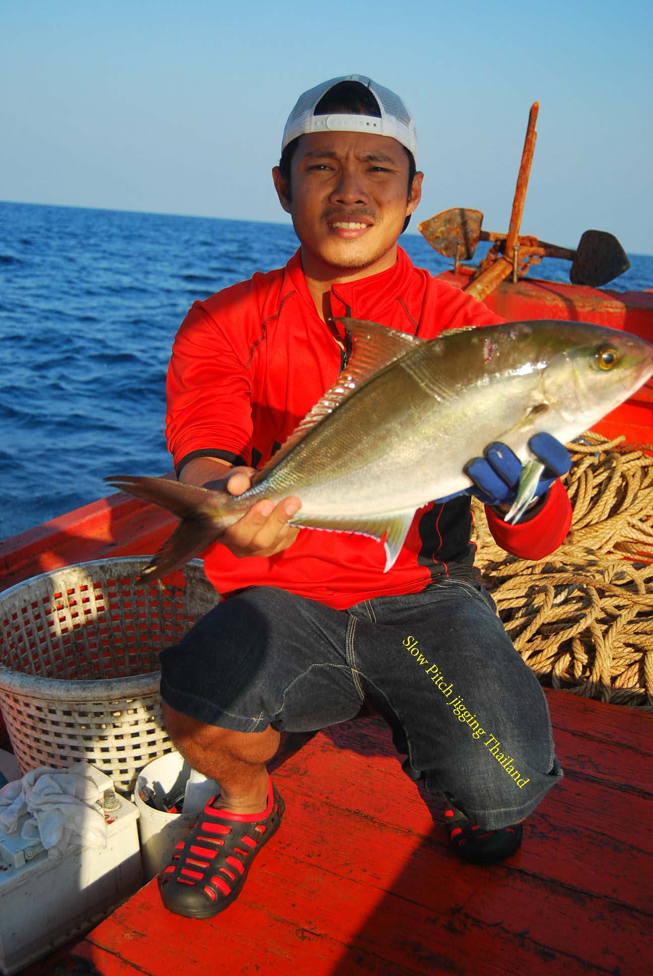   แล้วแสงแรกของวันที่ 2 ก็ส่องลงมา พร้อมกับปลาตัวแรกจากเกมส์ jigging ของผม
Tackle info:
Rod : MC 6