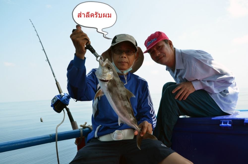 ท้ายเรือได้ปลาเนื้อดีมา