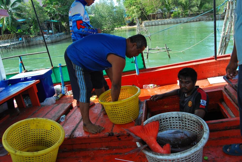 ...เรือถึงฝั่ง...เทียบท่าเรียบร้อย
...ลุงหมาและพี่โจ๊กก็จัดการเอาปลาที่ดองไว้ในห้องด้านหน้าเรือออกม