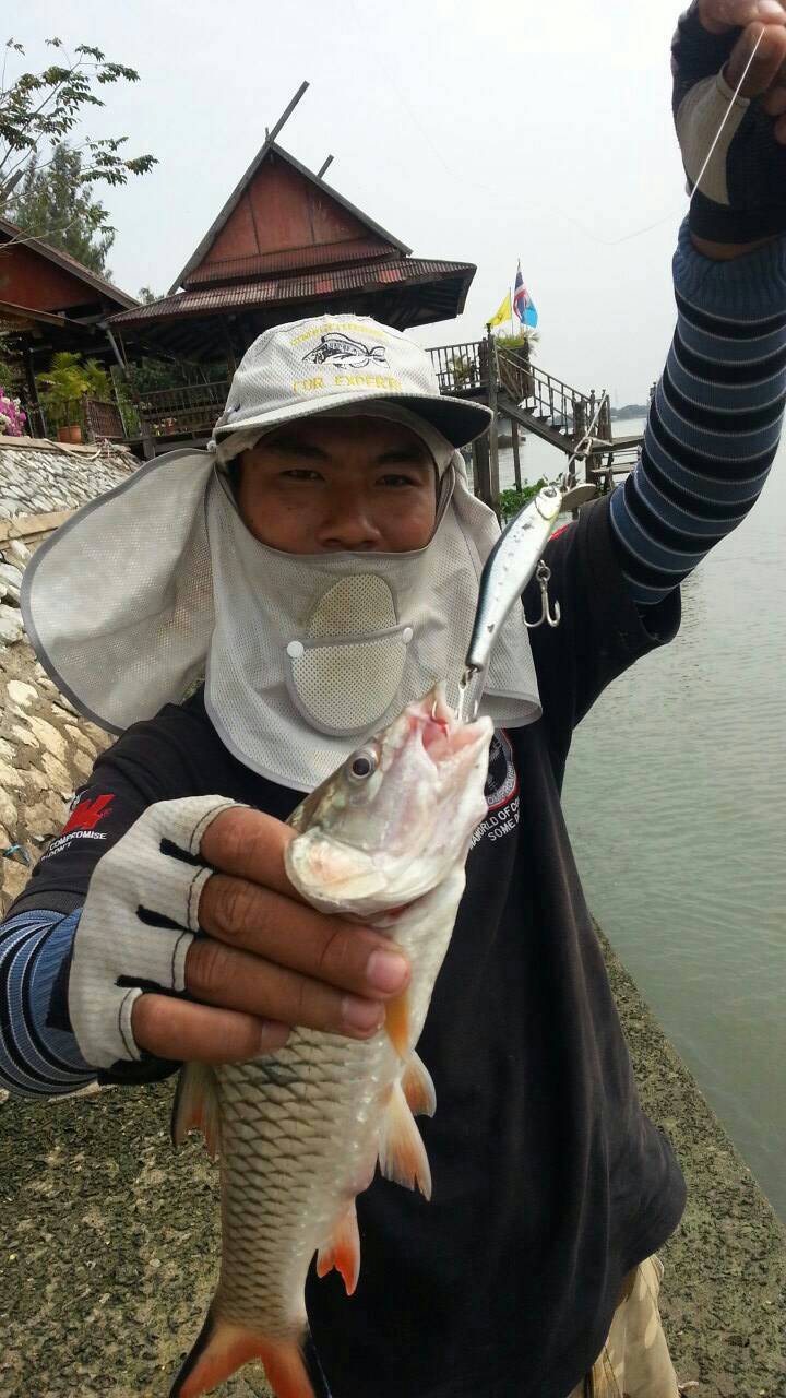 ผมเปลี่ยนเป็น 

DUO Larus Minnow 8/24 ตัวนี้หนัก 24 กรัมครับ

ตีแล้วปล่อยจม จากนั้นเจิร์คกลับมา 