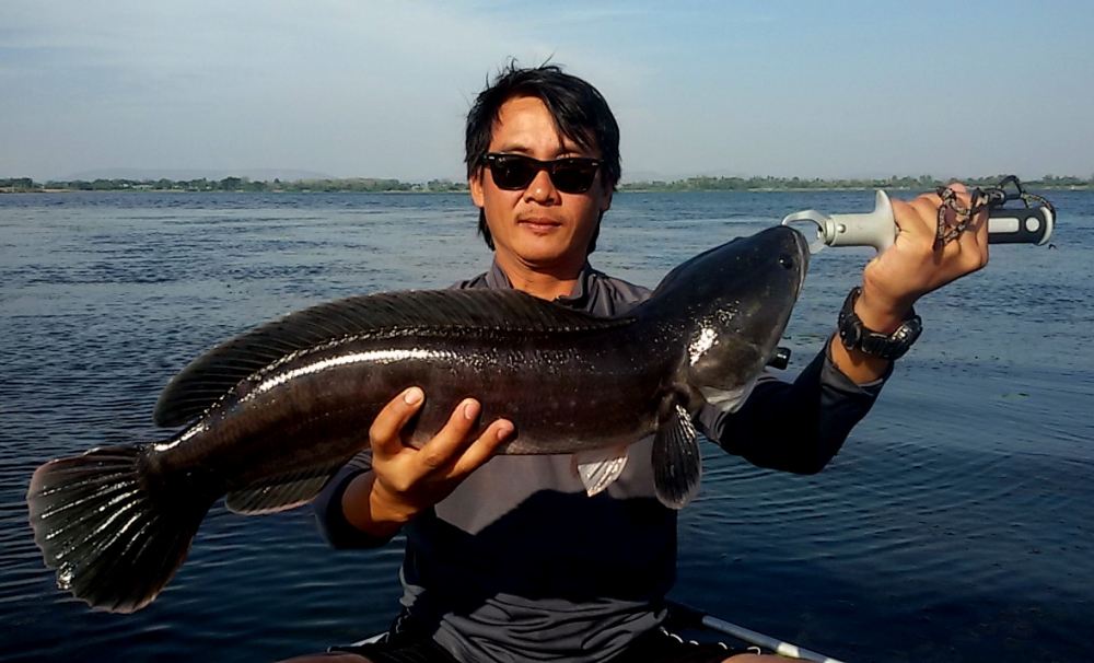 ชะโด ถล่มเรือยาง