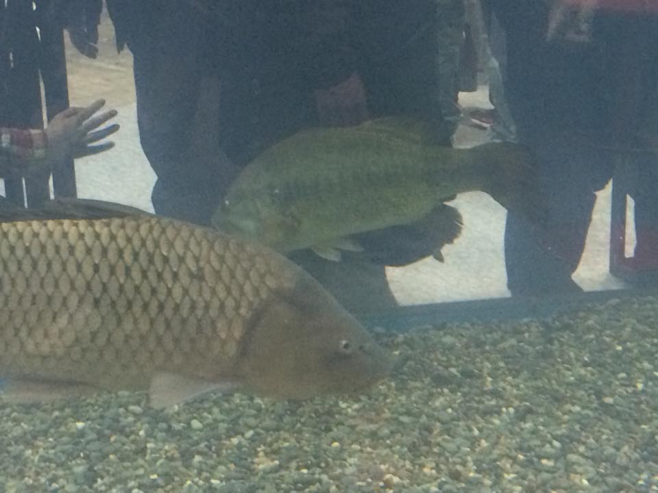 ที่เห็นไกลๆนั่นแล่ะครับ Blackbass