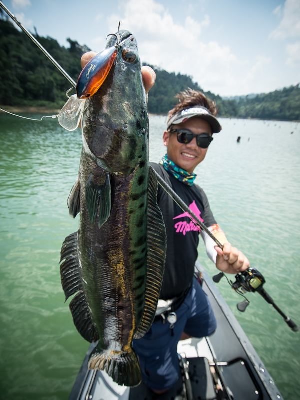  [center] [b]

Rod: Geecrack Double Dutch

Bottom up 7H 10-25lbs  [/b][/center]