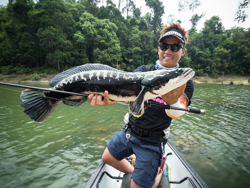  [center] [b]

Rod: Geecrack Double Dutch

The Merry 75H 12-30lbs  [/b][/center]