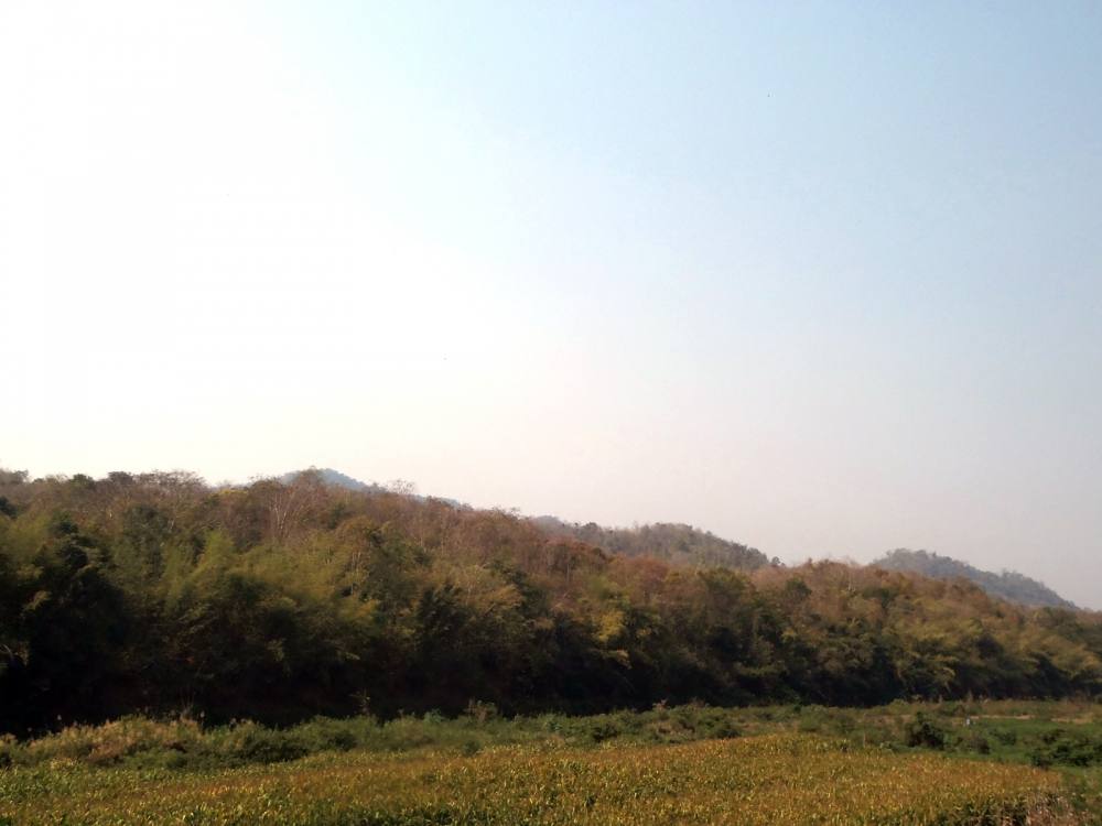 [center][q][i]อ้างถึง: witbang posted: 5 ก.พ. 58, 13:33[/i]
+++++ [b]ตามชมตามเชียร์ครับหมายสวยมาก[/