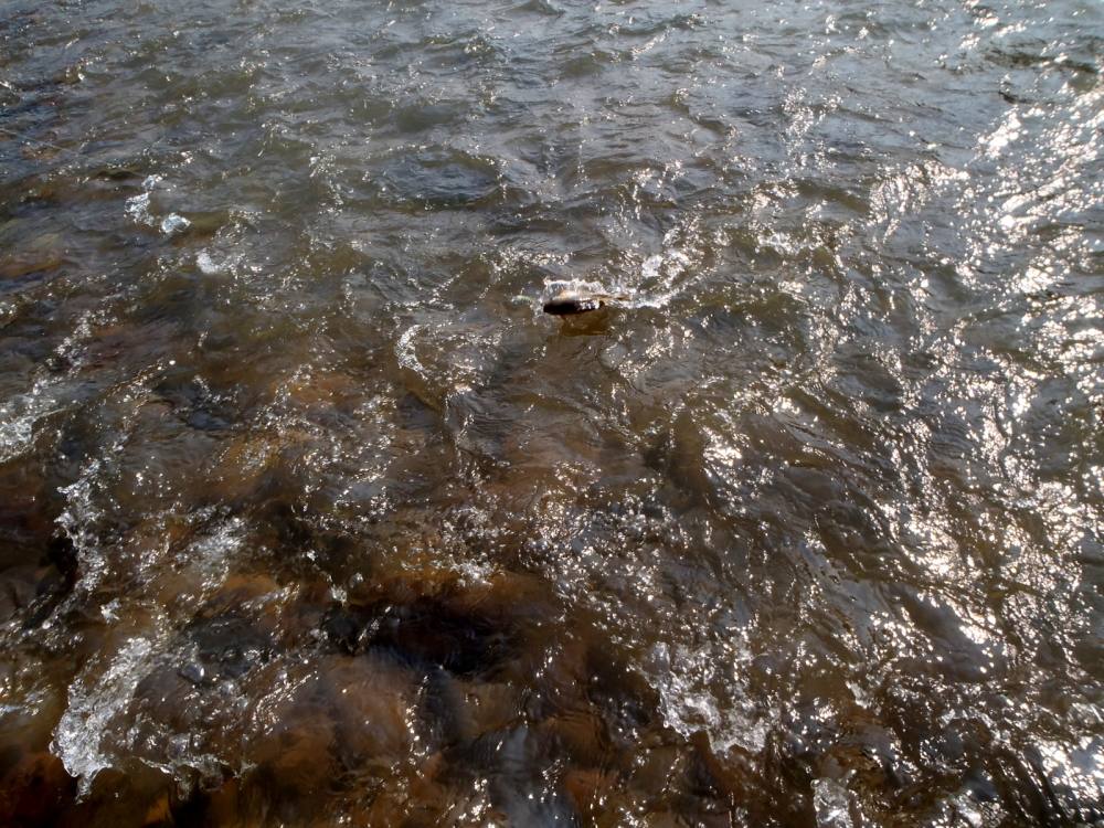 [center][q][i]อ้างถึง: fishingjoke posted: 5 ก.พ. 58, 21:44[/i]
 :cheer: :cheer: :cheer: :cheer: :c