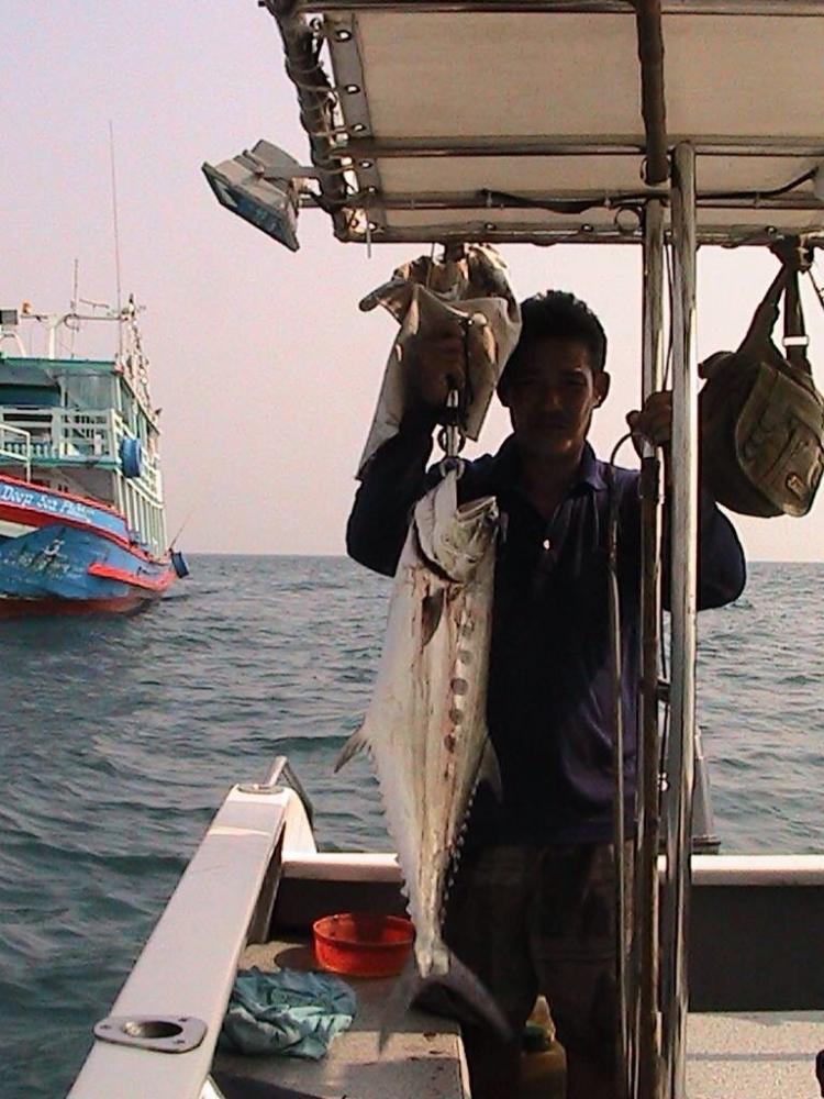 29/1/58 วันนี้คุณชาตรีจองเรือไว้ ผมโทรบอกคุณตรีว่าช่วงนี้ปลาไม่กินเบ็ดเลย
คุณตรีบอกไม่เป็นไรลองออไป