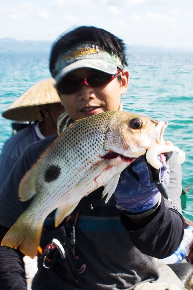  [center]อั้งเกย กัด Texas Rig เหยื่อยาง Z-Man ตะกั่ว 20-30g

กระแทกข้างกองหินพ้นน้ำทางฝั่งหัวกอง[