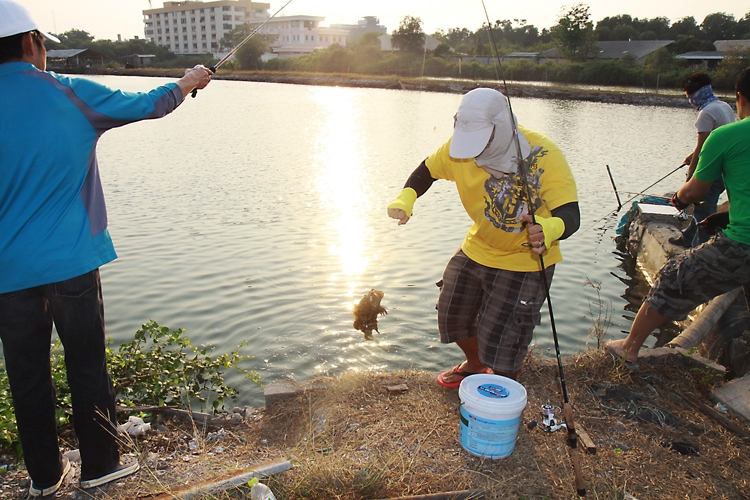 The Shark Fishing #Night Fishing 