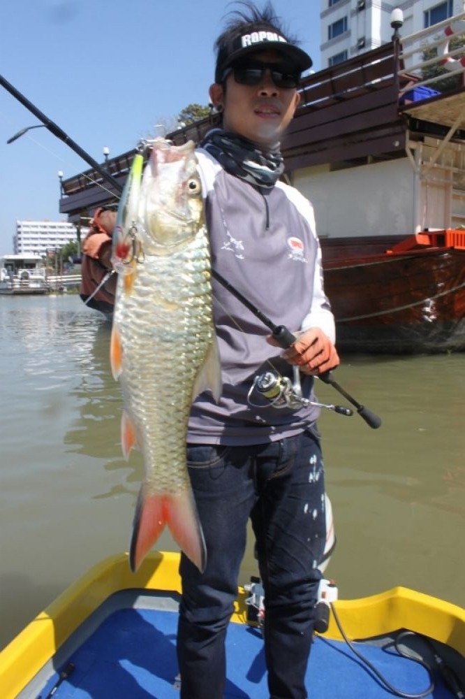 Rapala SSR 7 :cheer: :cheer: :cheer: :cheer: :cheer: