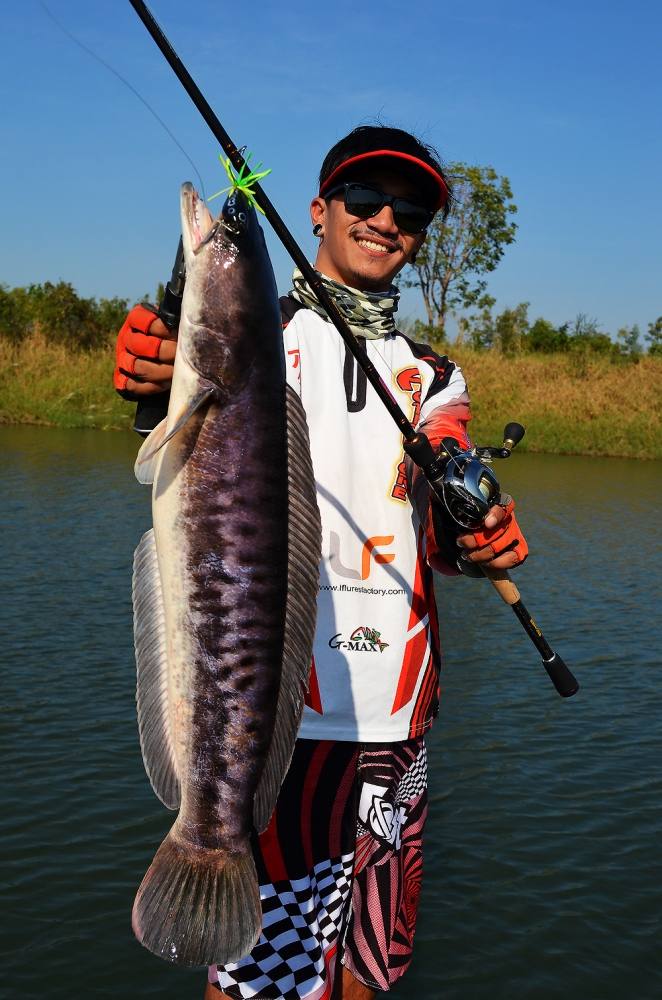 [center]


 [b] *** ชะโดป่า... บ่อทราย  ***[/b] 


อุปกรณ์ที่ผมใช้ครับ

Reel : Shimano Antar