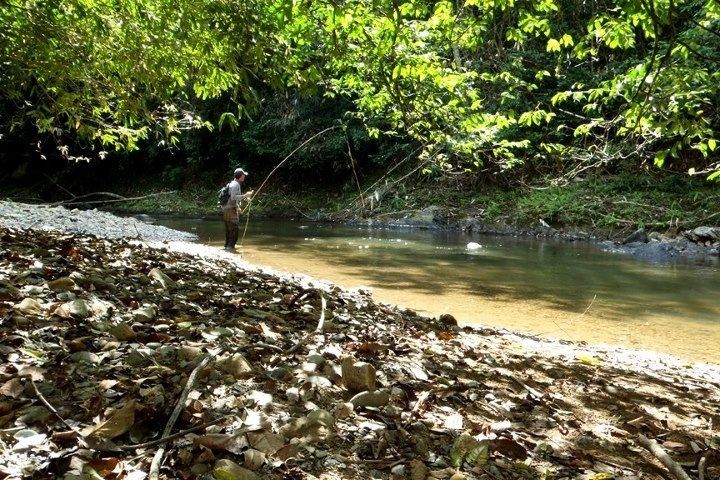 Fly fishing @ เขื่อนเชี่ยวหลาน