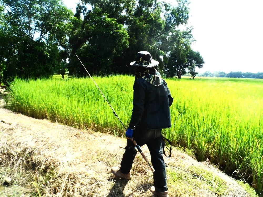 เดินหาที่ตีเหยื่อไปเรื่อยๆครับ  แดดก็ร้อนแรงได้ใจจริงๆ  :laughing: :laughing: :laughing: