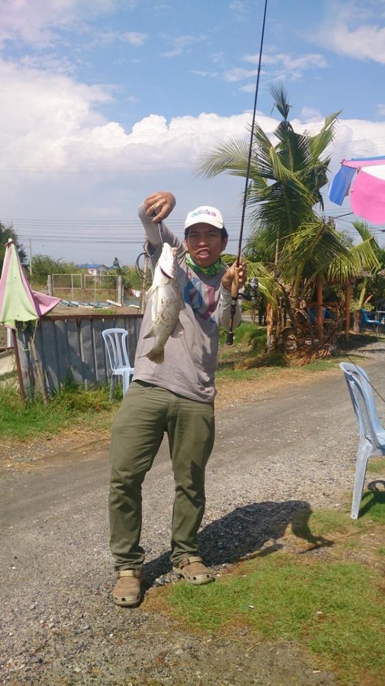เอ้า............ชีสสสสสสสสสสสสสสสสสสสสสสสส

 :laughing: :laughing: :laughing: :laughing: