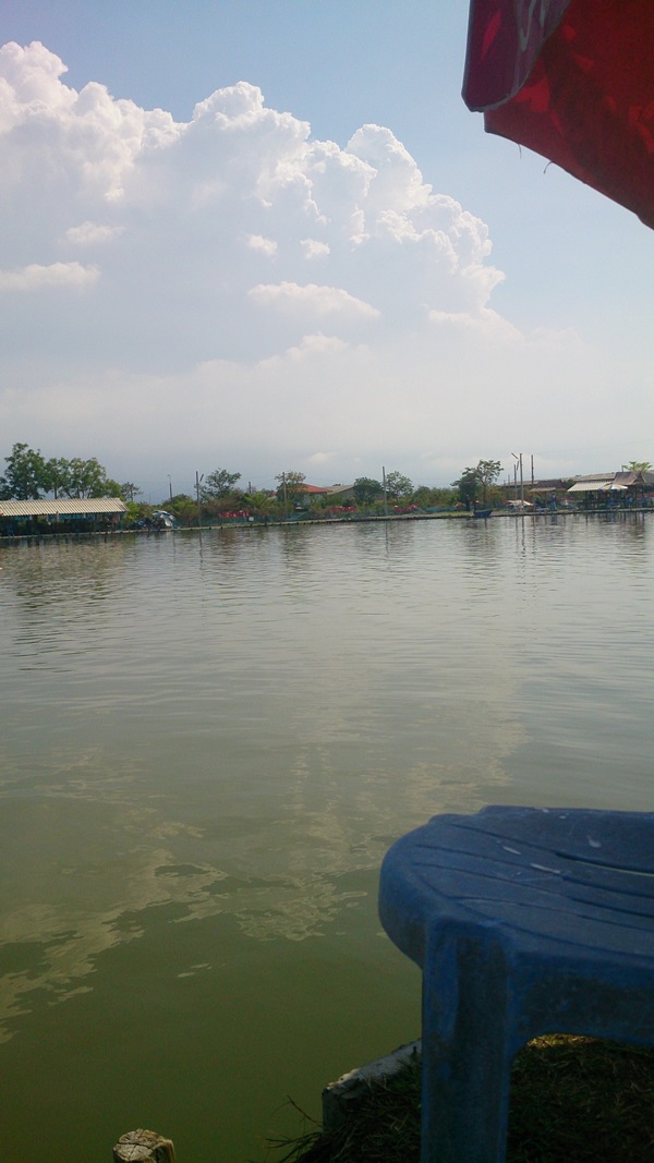 ท้ายบ่อครับ

 :sick: :sick: :sick: :sick: