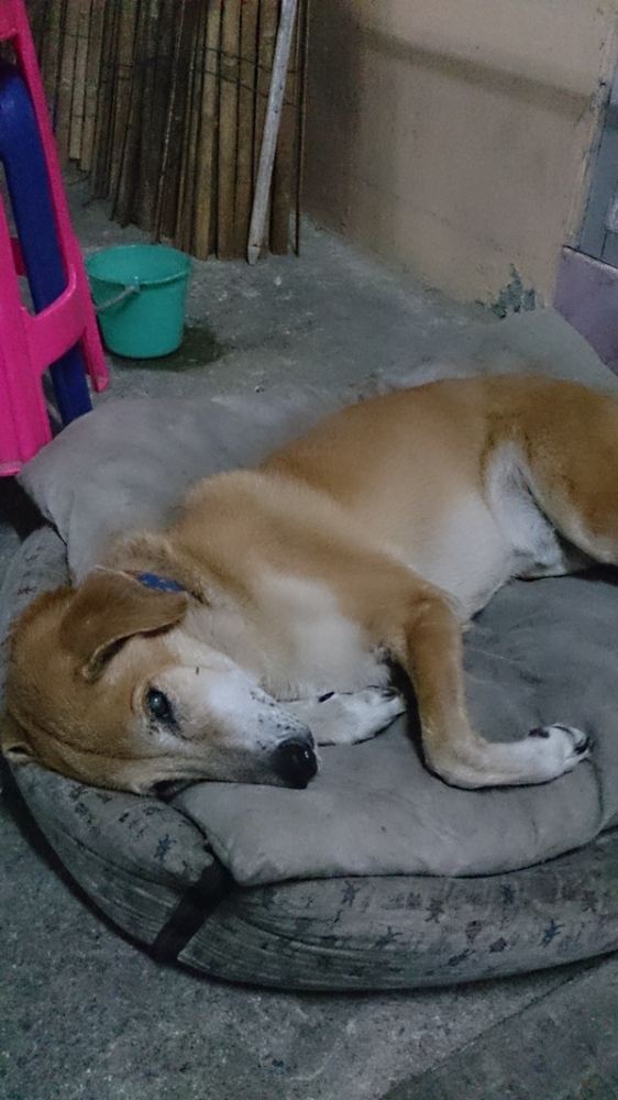คืนนี้ฝันดีราตรีสวัสนะครับน้าๆป้าๆทุกท่าน

 :sleep: :sleep: :sleep: :sleep: :sleep: :sleep: