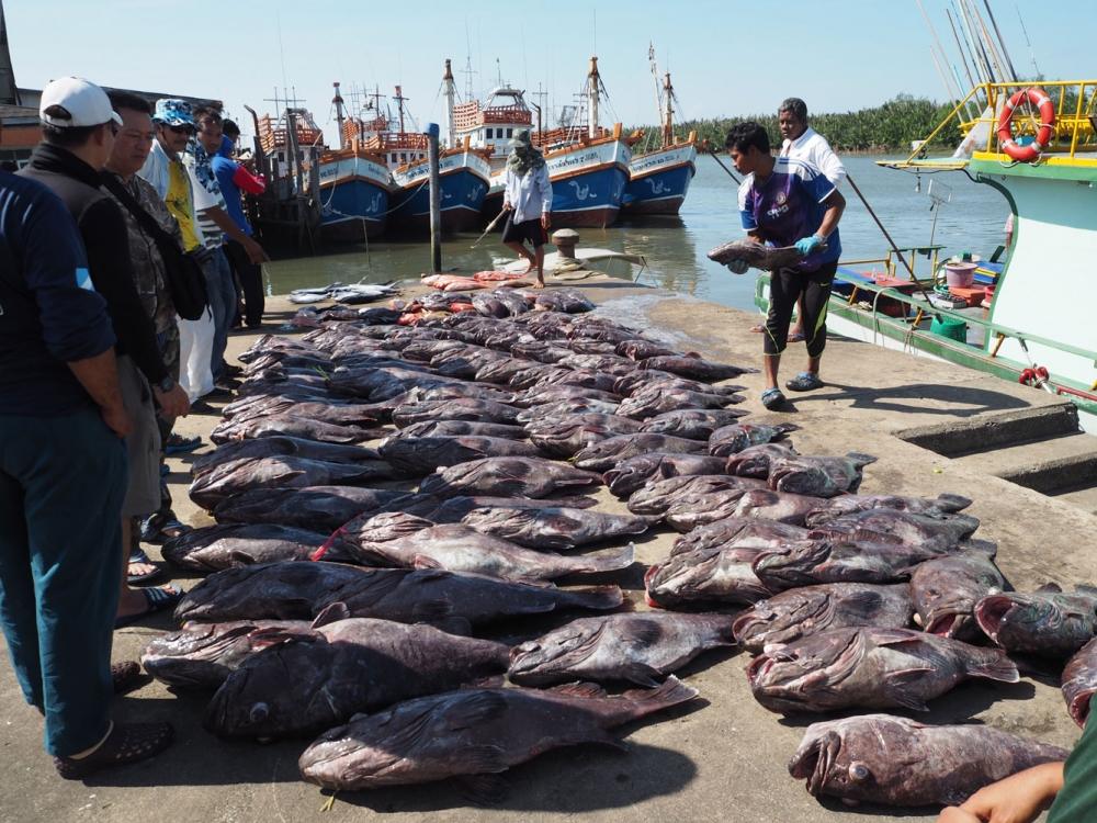 เรือชื่อ"น้องแพรวพลอย1"กับ"น้องแพรวพลอย2" (ตามที่เห็นเขียนใว้ที่ข้างเรือ) เห็นว่าแข็กจองมาทีมใหญ