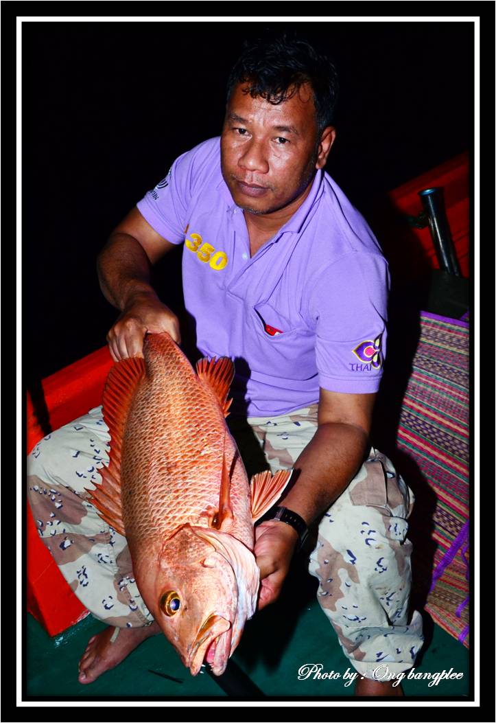 สีแดงรับเทศกาลวาเลนไทน์....วันแห่งความรัก....แต่ปีนี้บังพลไม่สามารถบอกรักในวันวาเลนไทน์ได้ครับ.....เ