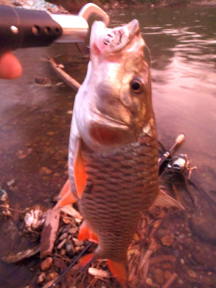 [center] :smile: :smile: :smile:[/center]