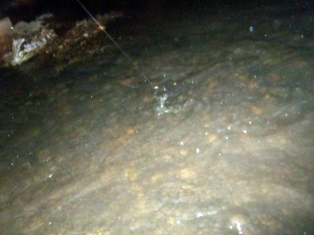 [center] :smile: :smile: :smile:[/center]