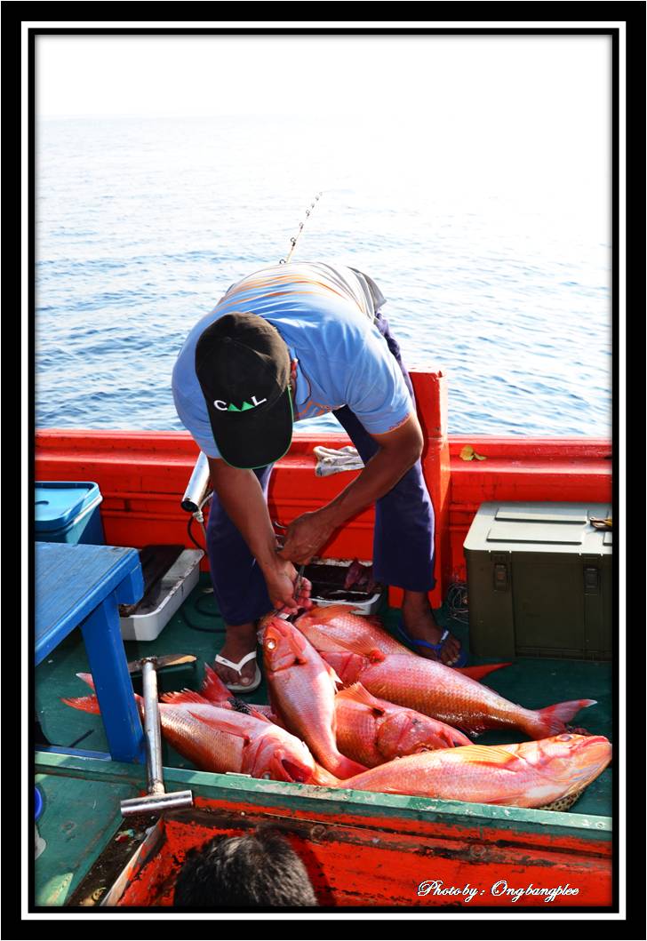 บังซาเตรียมปลาลงแช่ในห้องดองปลาในท้องเรือครับ  :laughing: