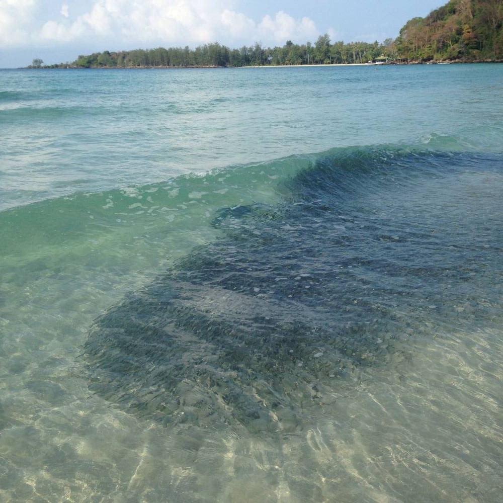 ฝูงปลาเล็กๆเต็มหาดเลยครับน่ารักมากนับพันๆตัวเห็นจะได้