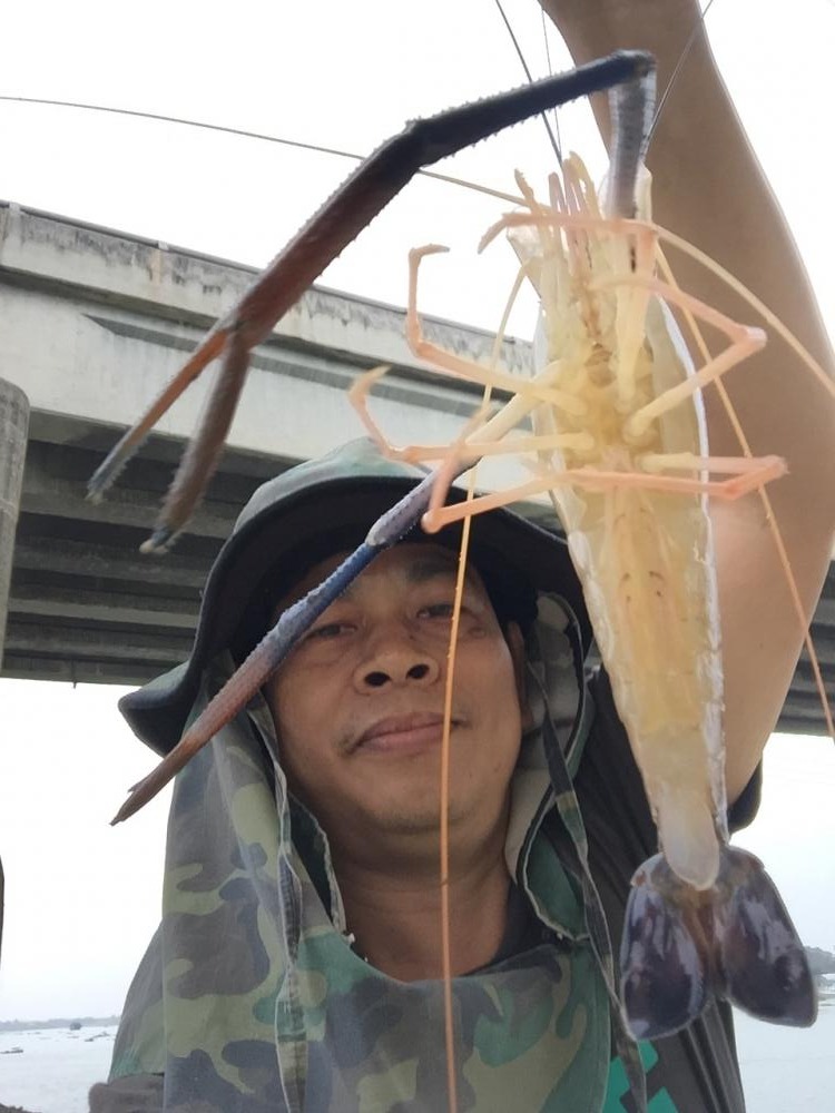 ตัวแรกมาอย่างไวเลย ลงเบ็ดไม่ถึง 5 นาที กุ้งก็จับแล้วครับ