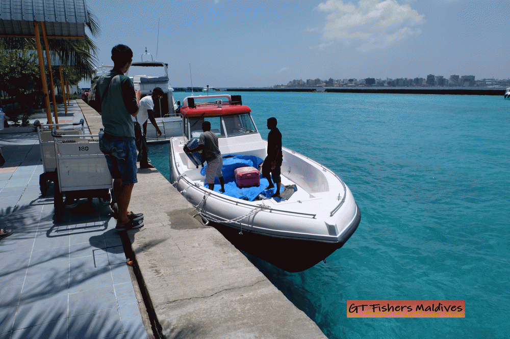 


[b]เรือลำใหม่ของ GT Fishers ครับ

เริ่มขนของลงเรือเตรียมออกเดินทางสู่เกาะ Lhaviyani Atoll

