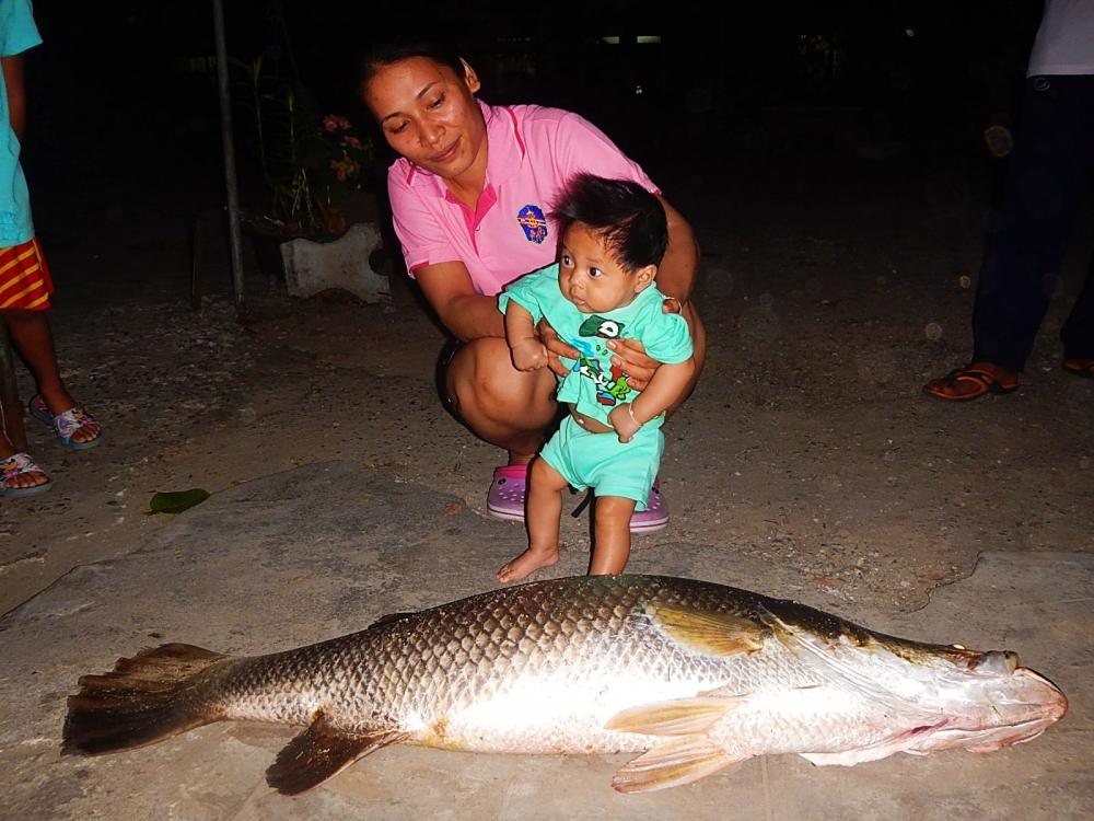 
[center]เทียบกับลูกชายผมครับ[/center]

