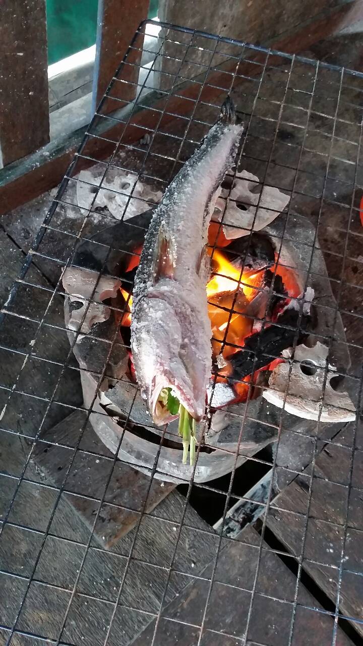 เผาปลาช่อนที่เตรียมมา..มื้อเที่ยง :umh: :umh: