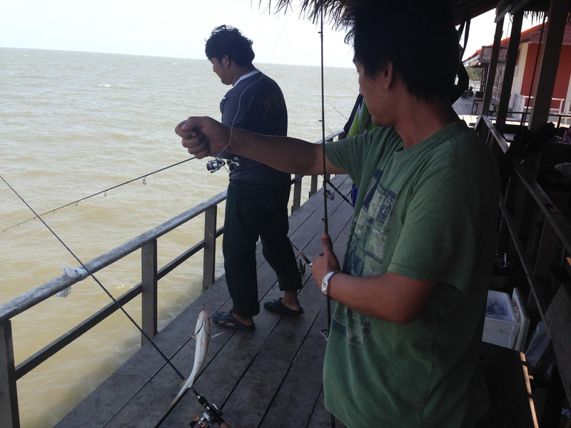 แต่เอ๋ หันไปปลาน้าต่อยังไม่ทันปลดเลย เจ้าเป้มันได้อีกแล้ว 555 :laughing: