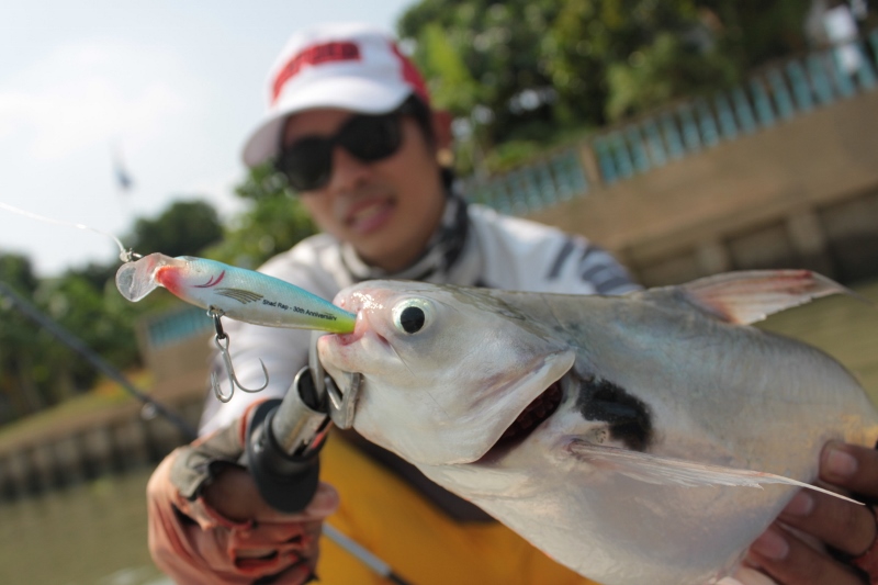 RAPALA SSR 7  :B :cheer: :cheer: :cheer: :cheer: :cheer: :cheer: :cheer: