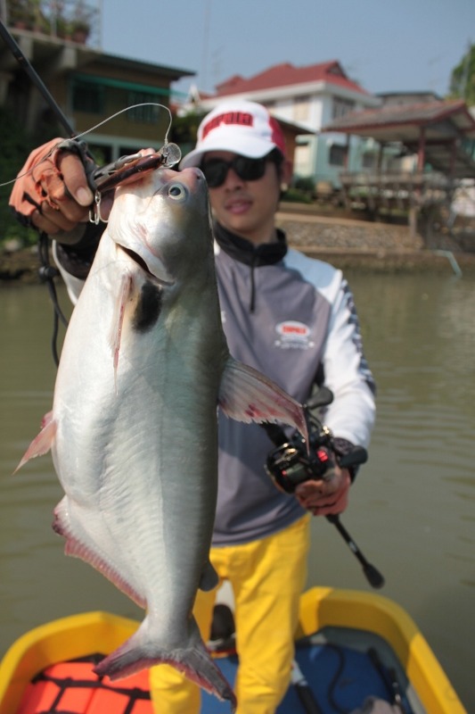 Rapala..SSR 7สีทองปลาแหทองครับ.....เอ็กเอิก :cheer: :cheer: :cheer: :cheer: :cheer: