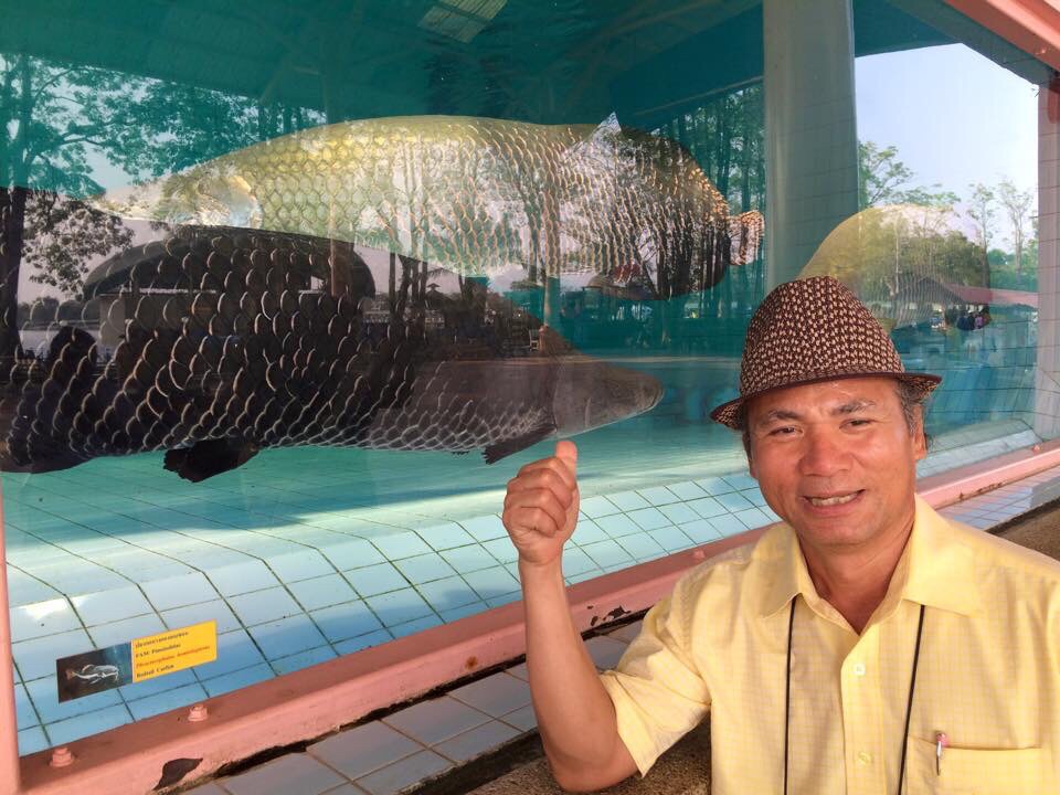 ประกอบกับผมไปสู่ขอแฟนเมื่อวันเสาร์ที่ผ่านมาเลยได้มีโอกาสไปเที่ยวบึงฉวาก

เห็นคู่ต่อสู้ตัวฉกาจของพ่