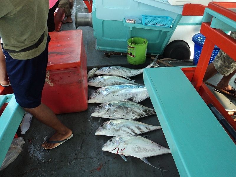 บางส่วน