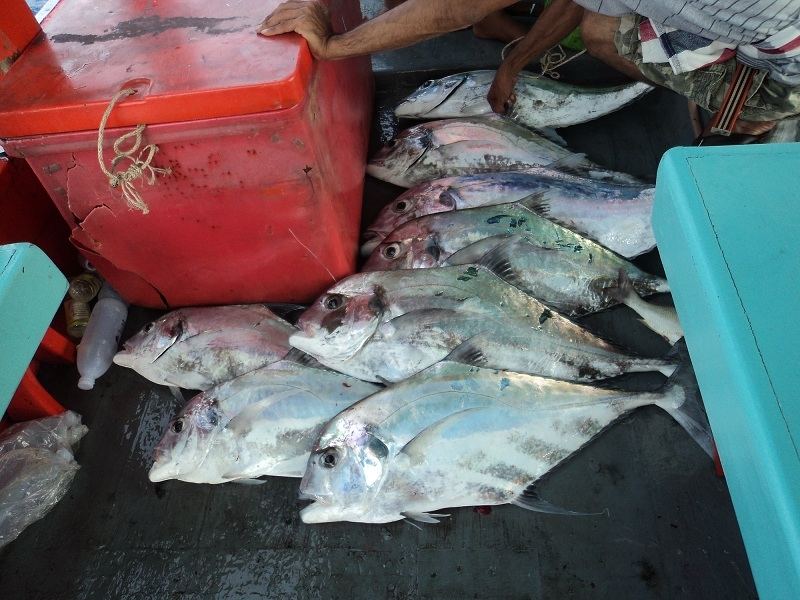 เริ่มเยอะ