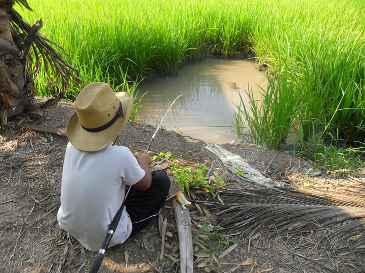 เดินกลับมา เจ้าตัวแสบ ยังมีความสุขกับการจ้องทุ่น
 :laughing: :laughing: