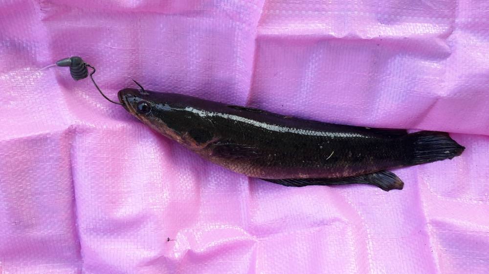  :love: แต้มแรกวันนี้...