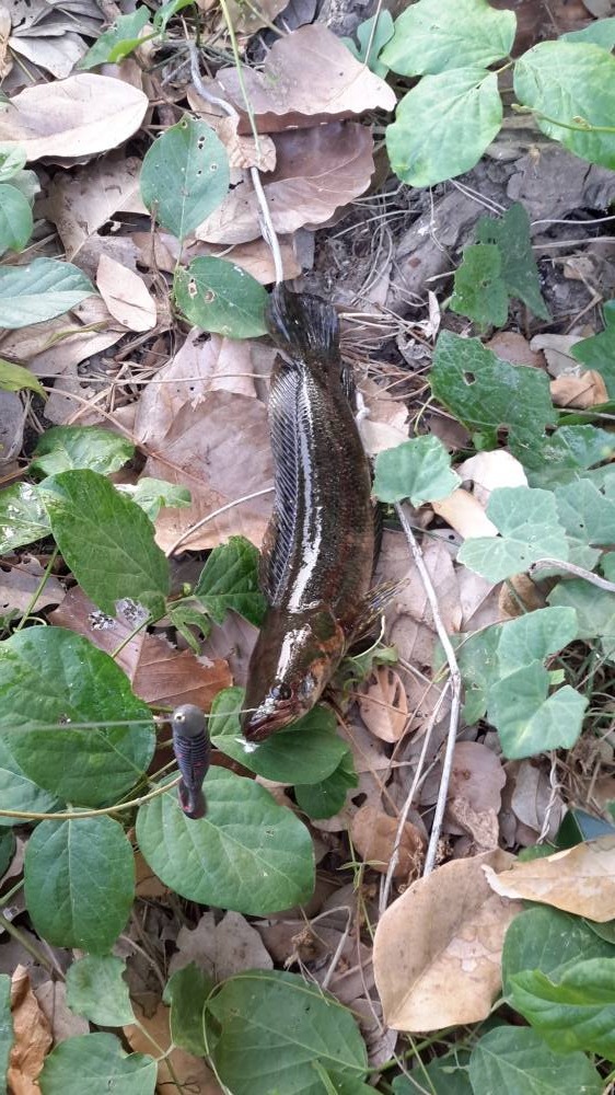  :love: แต้มที่สองก็ตามมา :cheer: