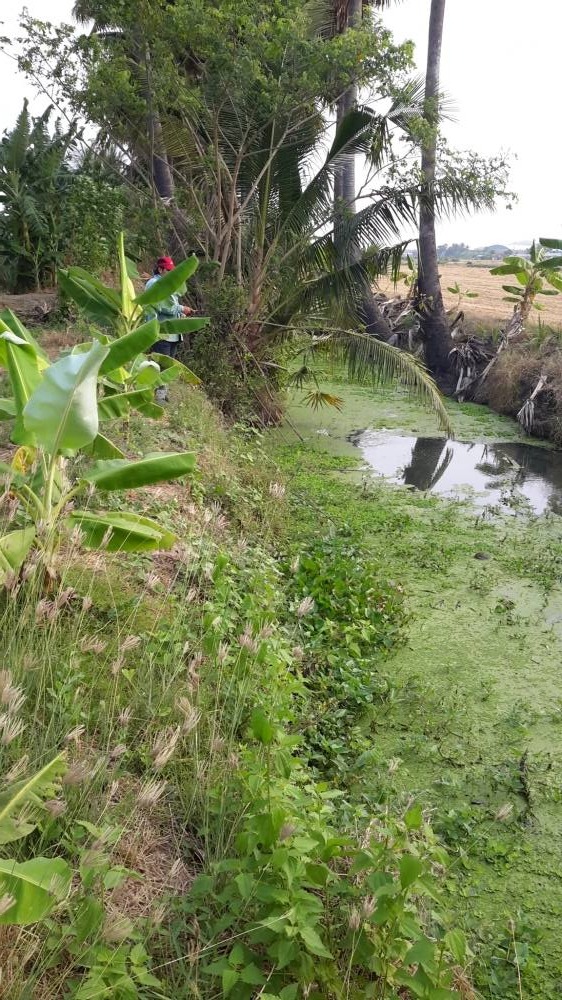  :love: น้าป๋องบอกมีเสียงกัดอยู่...น่าจะเป็นปลากระสงนะพี่ :grin: