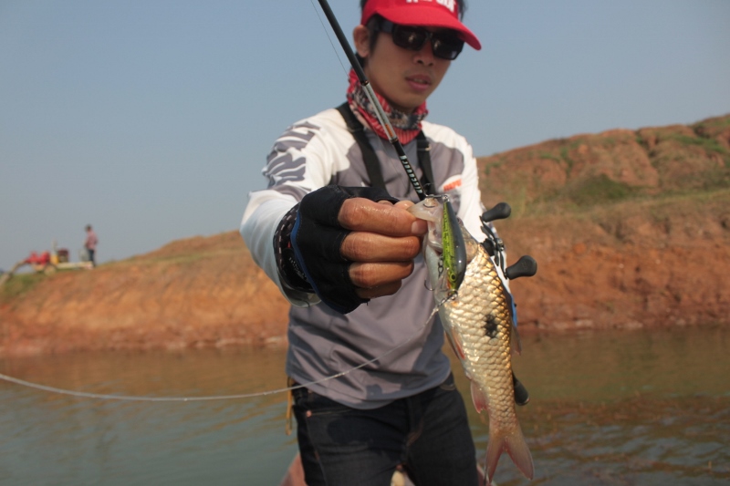 :cheer: :cheer: :cheer: :cheer: rapala scatter rap countdown....ยังงัยก้อโด�