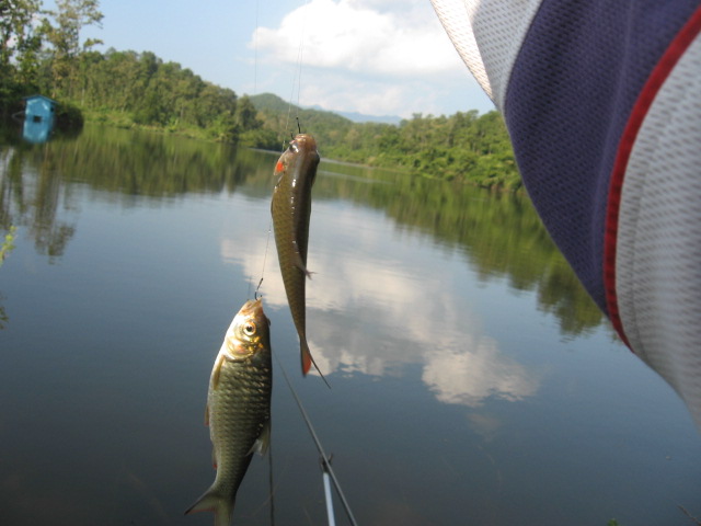 แนว herafishing อยู่ที่การยึดธรรมเนียมการปฏิบัติ
 เพื่อเข้าใจและกลมกลืนไปกับวิถีของธรรมชาติที่แปรเป