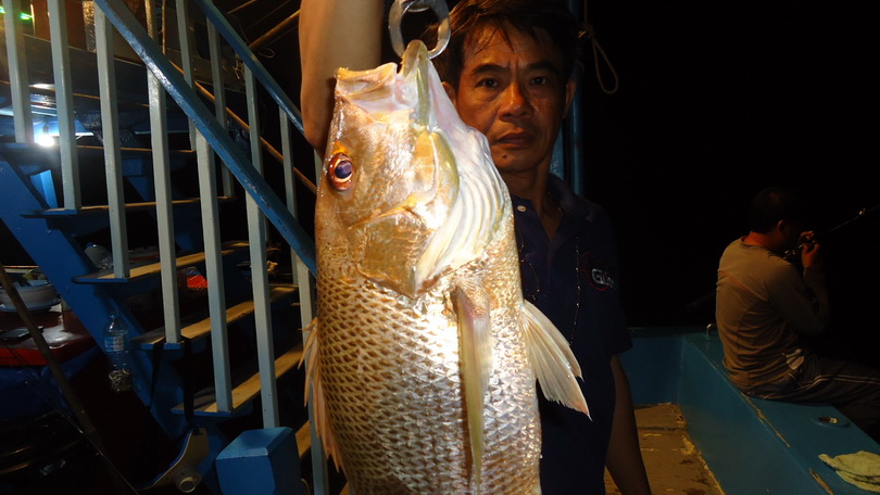 พี่นินซัดอังเกยมาอีกตัว