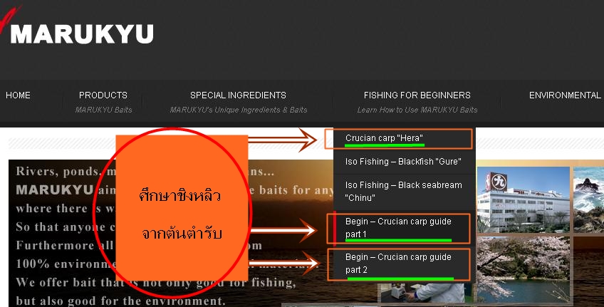 --------------------------------------------

ขออนุญาติแปะลิงค์ความรู้เพื่อทุกท่านครับ
 ศึกษาจากต